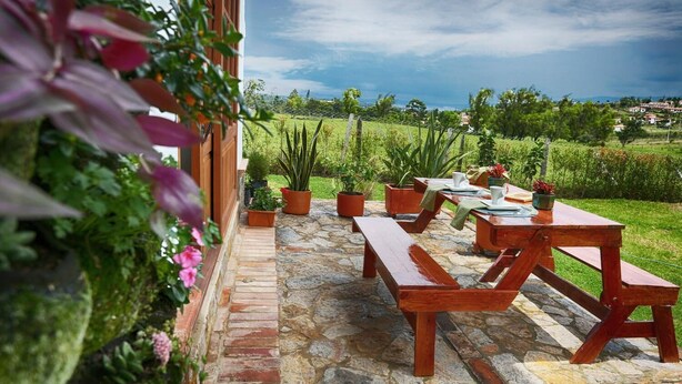 An outdoor patio with stone flooring, wooden benches, and potted plants. - Casa de las flores (Villa de Leyva)