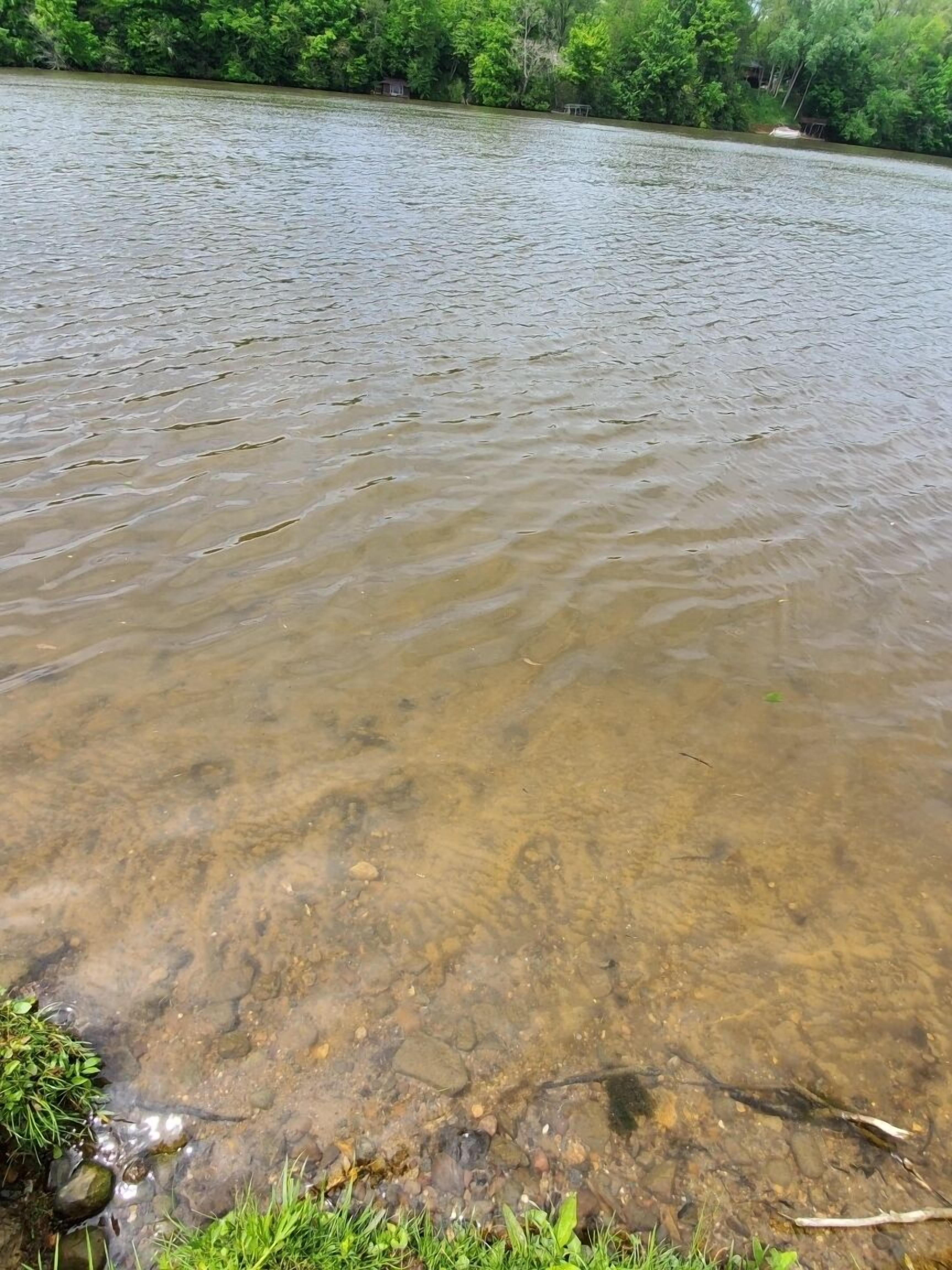 On peut clairement voir une rivière, avec des rochers et de la végétation visibles le long de ses rives.