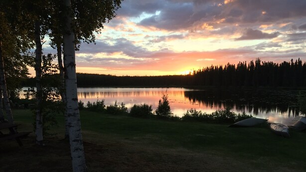 A serene lakeside view with birch trees, a picnic table, and a canoe. - Misty Lake Carriage House (Wasilla)