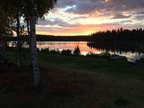 Une vue paisible sur un lac, avec des bouleaux, une table de pique-nique et un canoë.