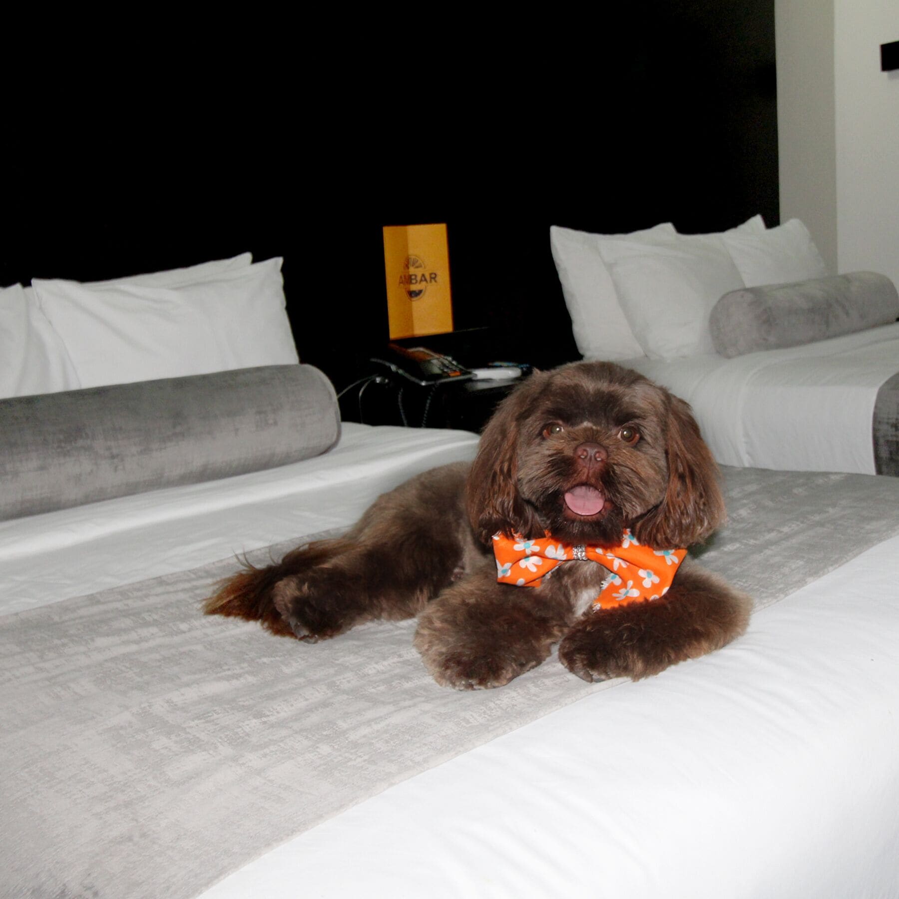 Photo - Stay Inn Hotels