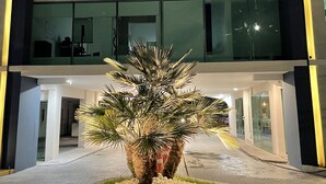 A Stay Inn hotel with a modern facade, large windows, and a well-lit entrance area featuring a palm tree and a small garden. - Stay Inn Hotels (Reynosa)