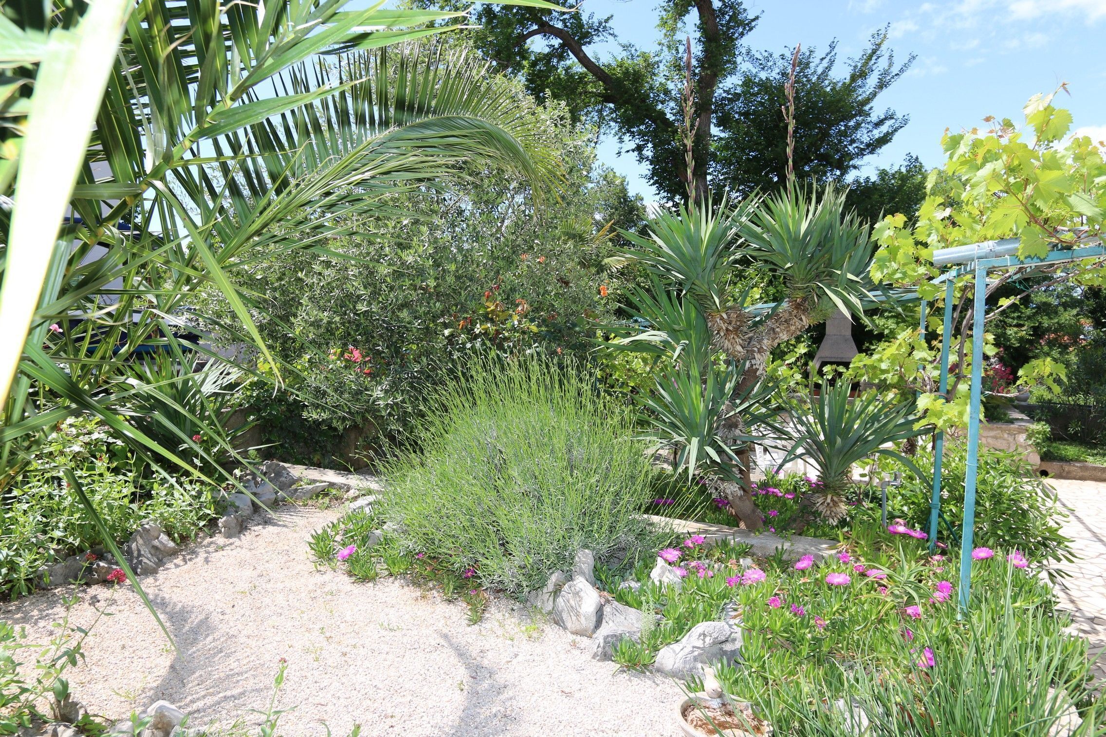 Jardines del alojamiento