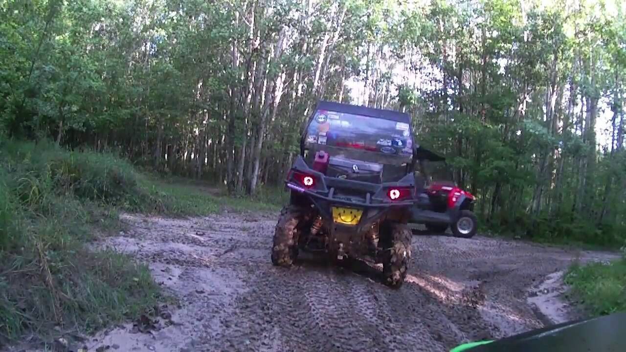A vehicle on a muddy path surrounded by dense greenery.