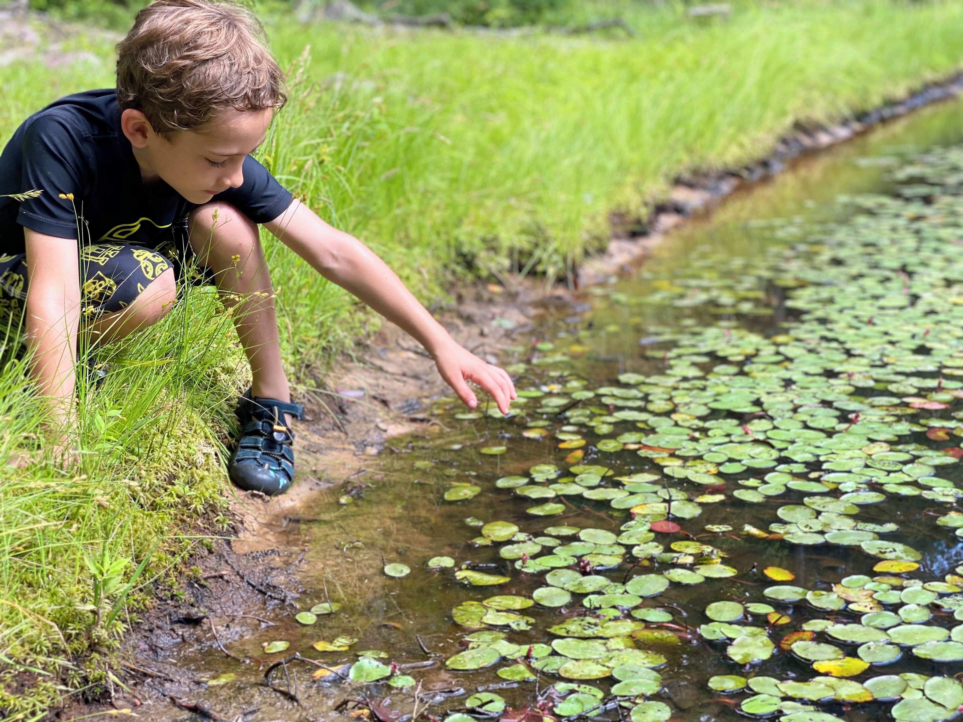 A person crouching by a water body with lily pads.