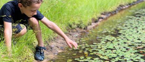 A person crouching by a water body with lily pads.