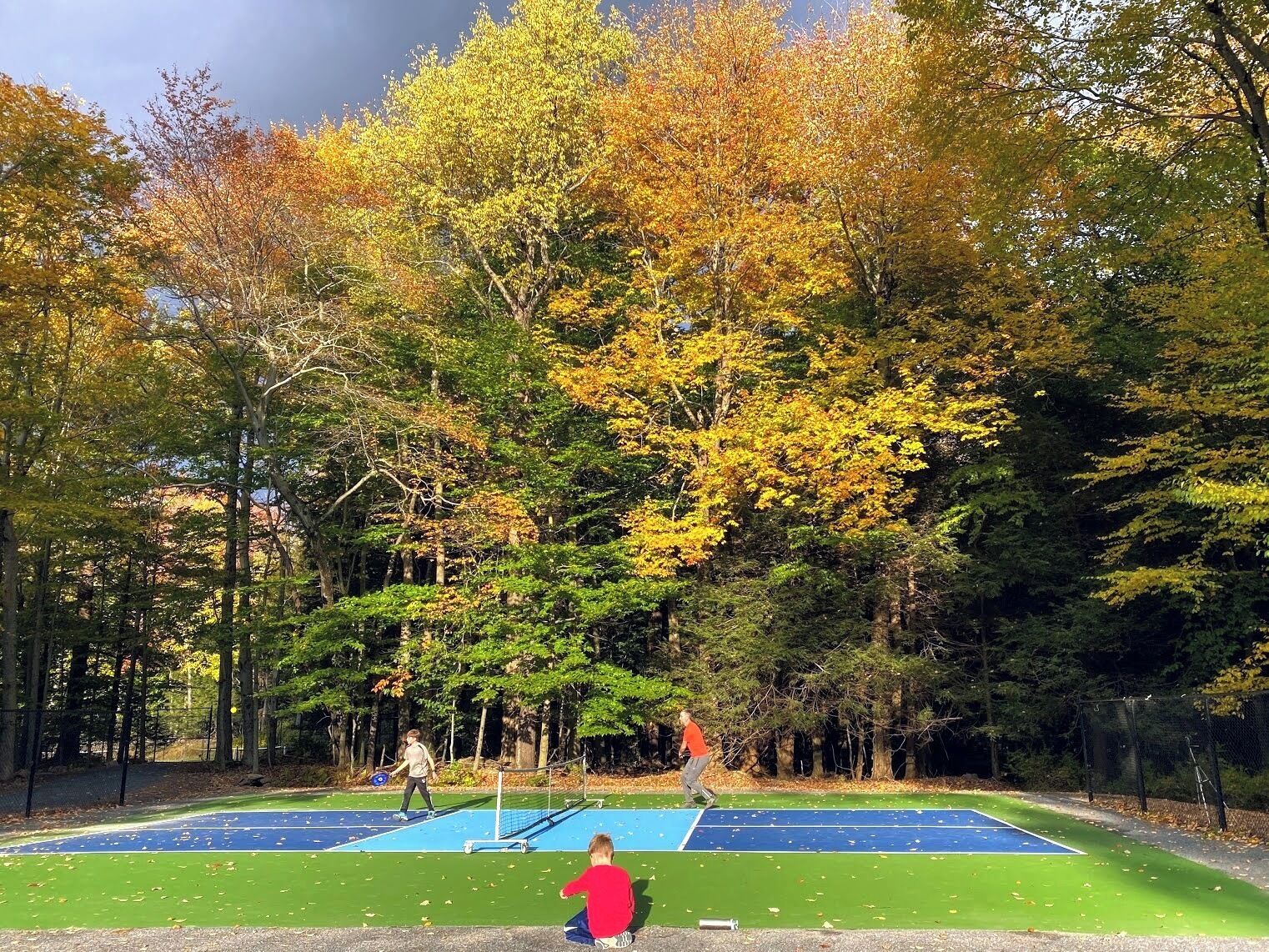 A tennis court surrounded by trees with autumn foliage.