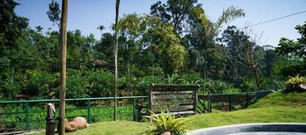 Colorful Facade with greenery Nest Stay