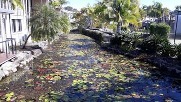 A water feature with lily pads and palm trees, surrounded by buildings.