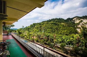 View from property - Mingyuan Hotspring (Tainan)