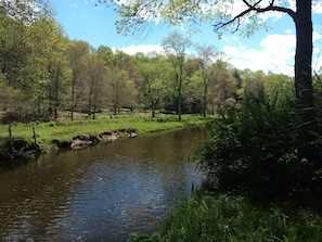 Unclassified image, 5 of 6, button - Serene Creek Frontage (Mildred)