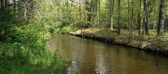 Serene Creek Frontage