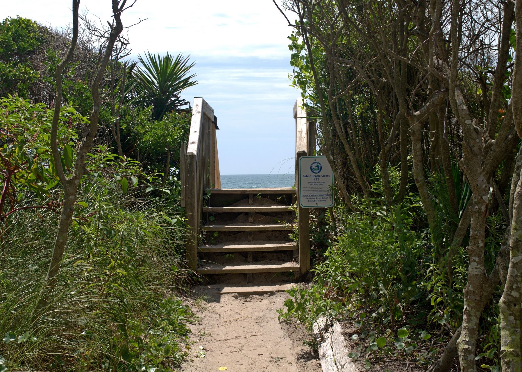 A wooden staircase leading to a beach, surrounded by dense vegetation.