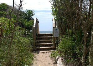Una escalera de madera que lleva a una playa, rodeada de vegetación densa.