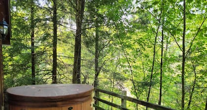 Hot Tub, WiFi,Arcade - Family Cabin - Hidden Chalet - Red River Gorge, Kentucky!