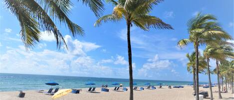 Ranta lähistöllä, aurinkotuoleja, rantapyyhkeitä