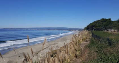 Ocean view! Fantastic Seascape Resort 1 Bedroom-Newly Remodeled!