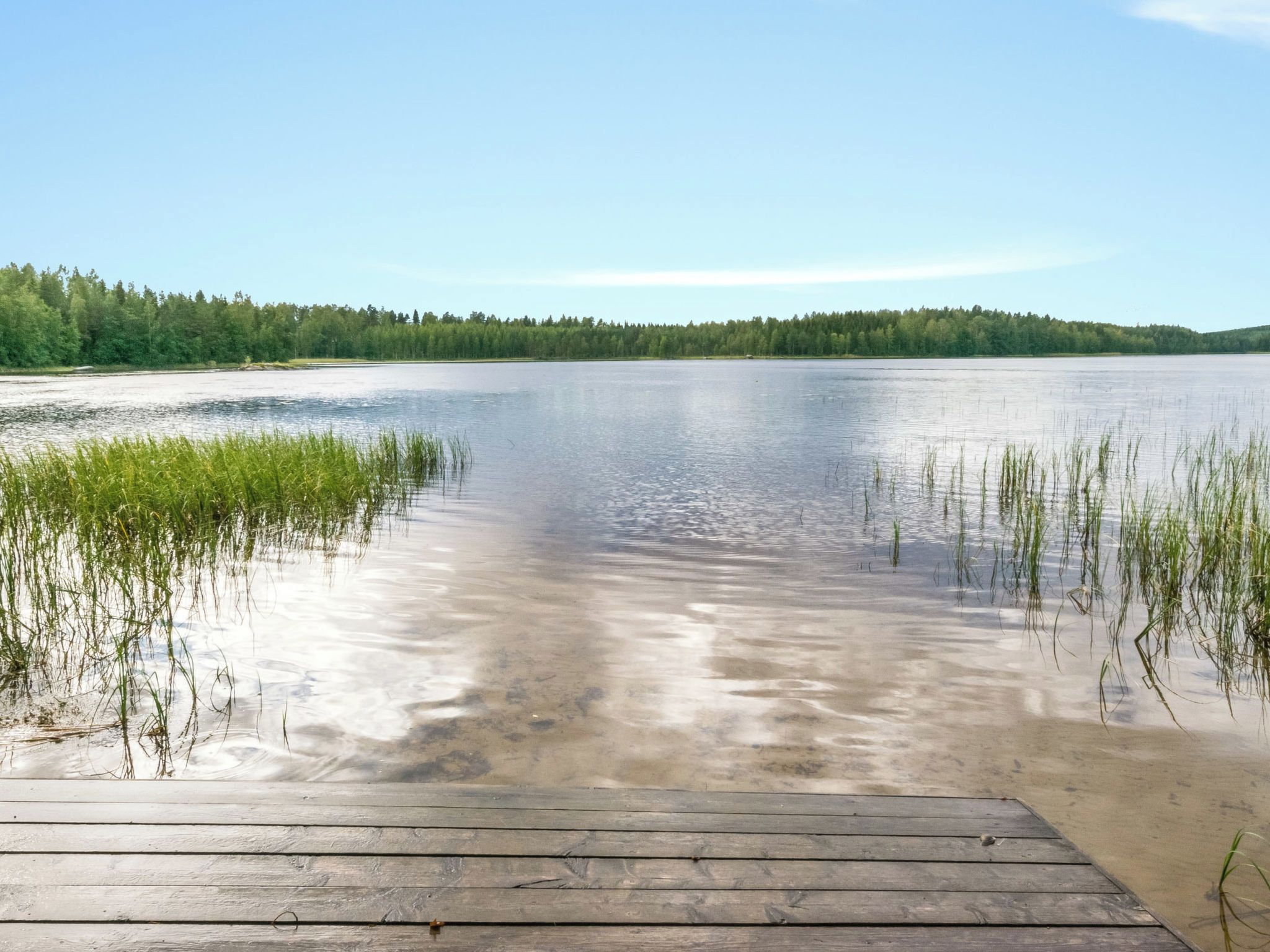 En träbrygga som leder ut i en stilla sjö med en skogbeklädd strand.