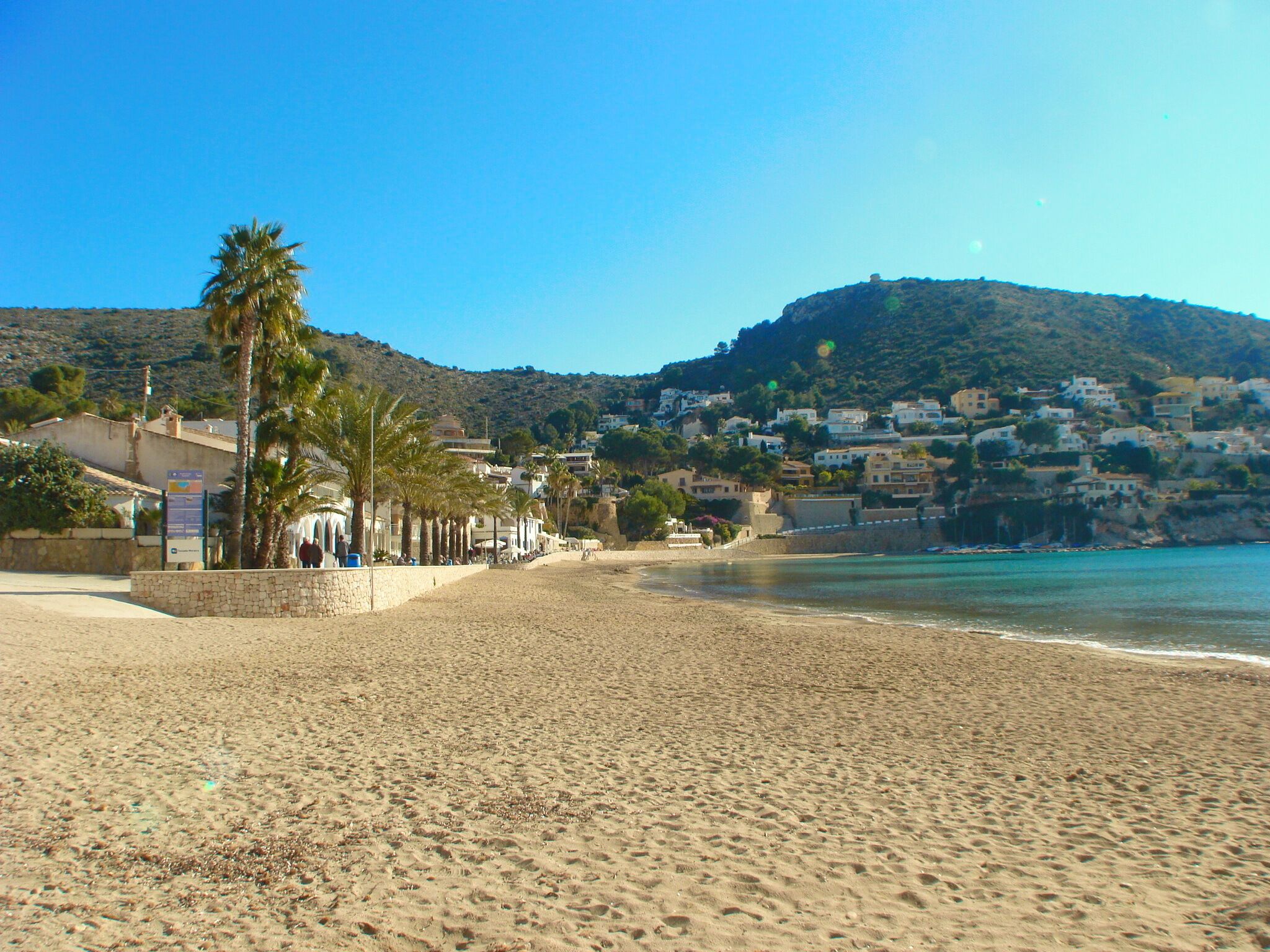 A sandy beach with a stone wall and palm trees. There are buildings in the background with a hill behind them.