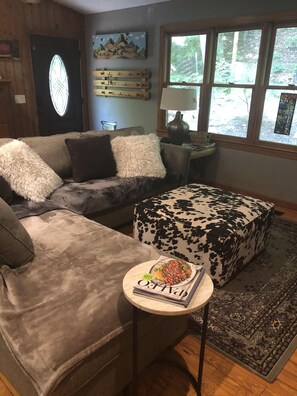 TV, fireplace, DVD player, books