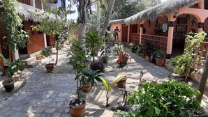 Un patio con plantas en macetas, una estructura de techo de paja y suelo empedrado.