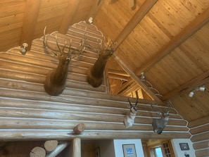 Cozy cabin-style accommodations feature exposed beams and mounted animal heads.