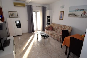 TV, fireplace, DVD player, books