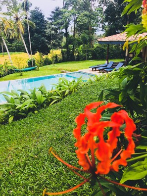 Outdoor pool - The Mugatiya (Ahangama)