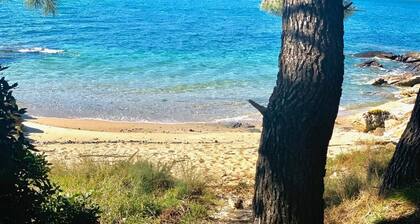 Sweet & Relax Beach Appartement "Las Gaviotas"