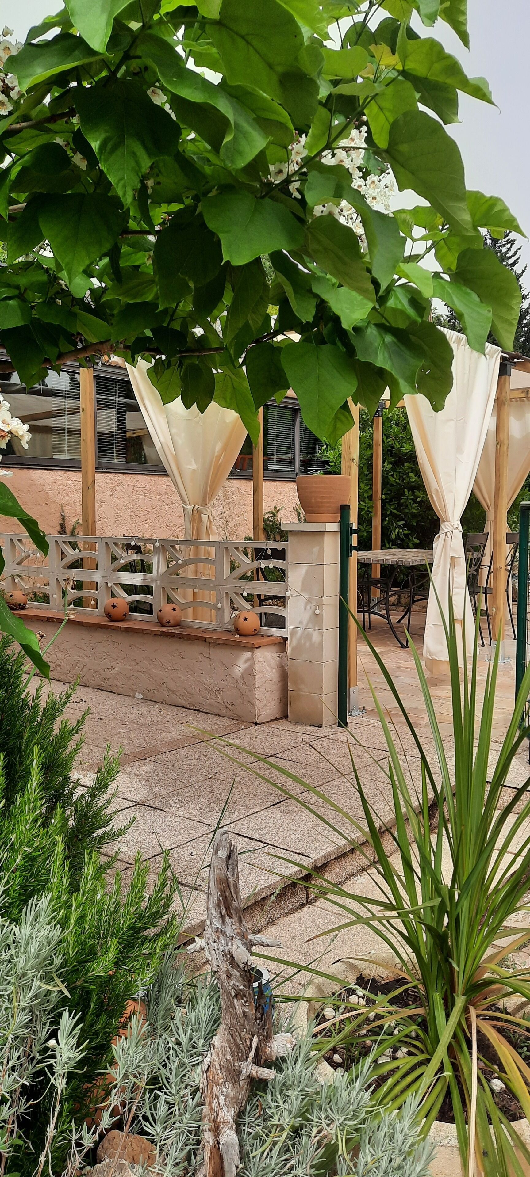 Jardin