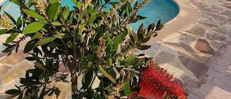 Außenpool, geöffnet von 08:00 Uhr bis 20:00 Uhr, Liegestühle