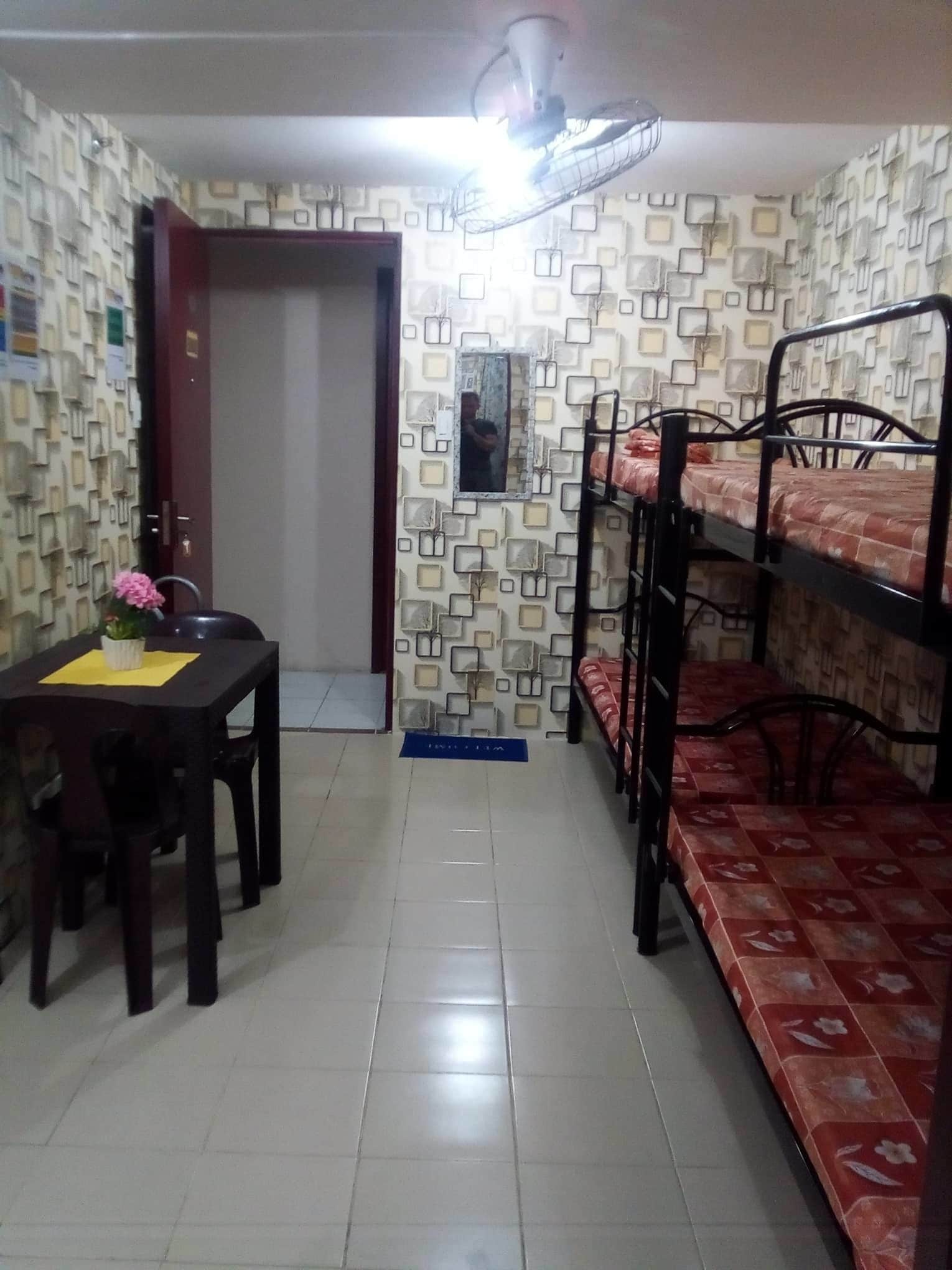 Una habitación con literas, una mesa con sillas, una pequeña planta en maceta y un espejo en la pared.