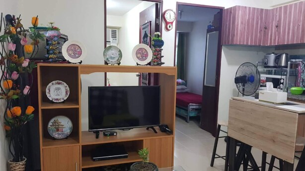 Un salon avec un téléviseur posé sur un meuble en bois, une table à manger avec des chaises, une plante en pot et des assiettes décoratives.