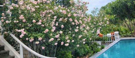 Façade de lâhĂ©bergement