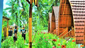 Bungalow Deluxe, vistas al jardín | Vistas al jardín