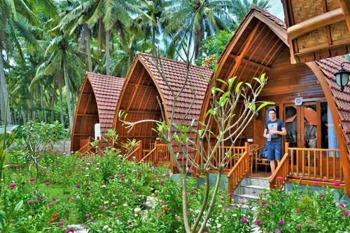 The Peace Arta Bungalow