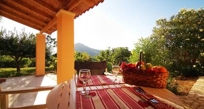AELIA APARTMENT ERMONES CORFU