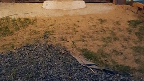 Une porte en bois ornée d’un motif en treillis, qui donne sur un chemin pavé de briques.