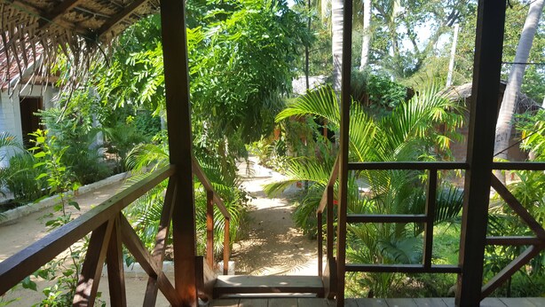 Une terrasse en bois surmontée d’un toit de chaume, entourée d’une végétation tropicale luxuriante et bordée d’un sentier de terre qui s’enfonce dans le paysage verdoyant.