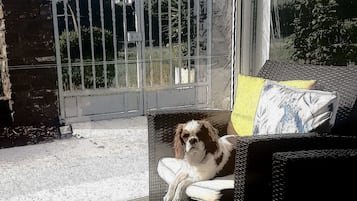 Pet-friendly