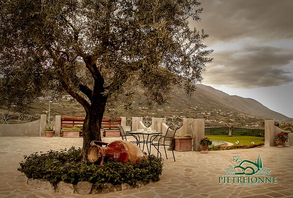 Terraza o patio