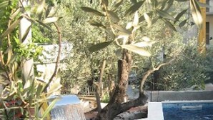 Pool - Levantin Inn 1,3 Room N8 Sea Side (Sveti Stefan)