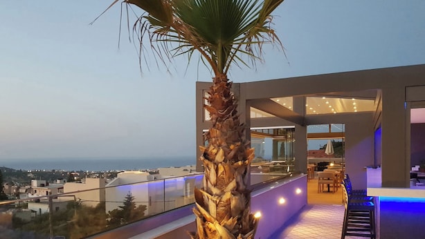 A modern rooftop terrace with a palm tree, a bar area, and a view of the cityscape.