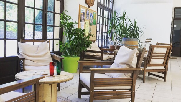 Une pièce meublée de meubles en bois, notamment des chaises et une table, dotée de grandes fenêtres et agrémentée de plantes en pot.