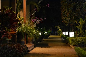 Un vialetto serale in giardino, con diverse piante e un percorso centrale.