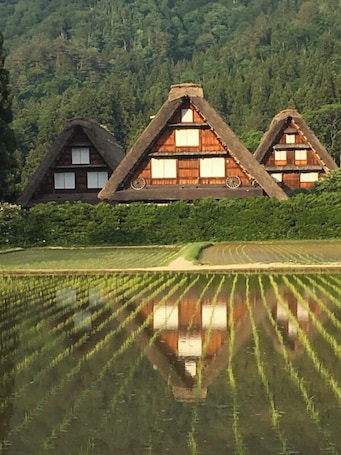 Ecotours. Thanyaporn Hotel