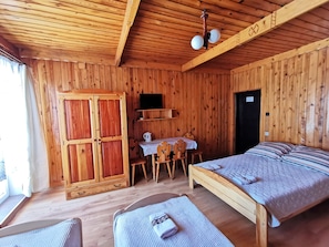 Laptop workspace, iron/ironing board, free WiFi, bed sheets - Willa Senator (Zakopane)