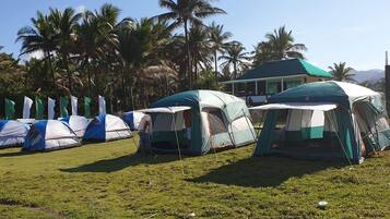 Iron/ironing board, bed sheets