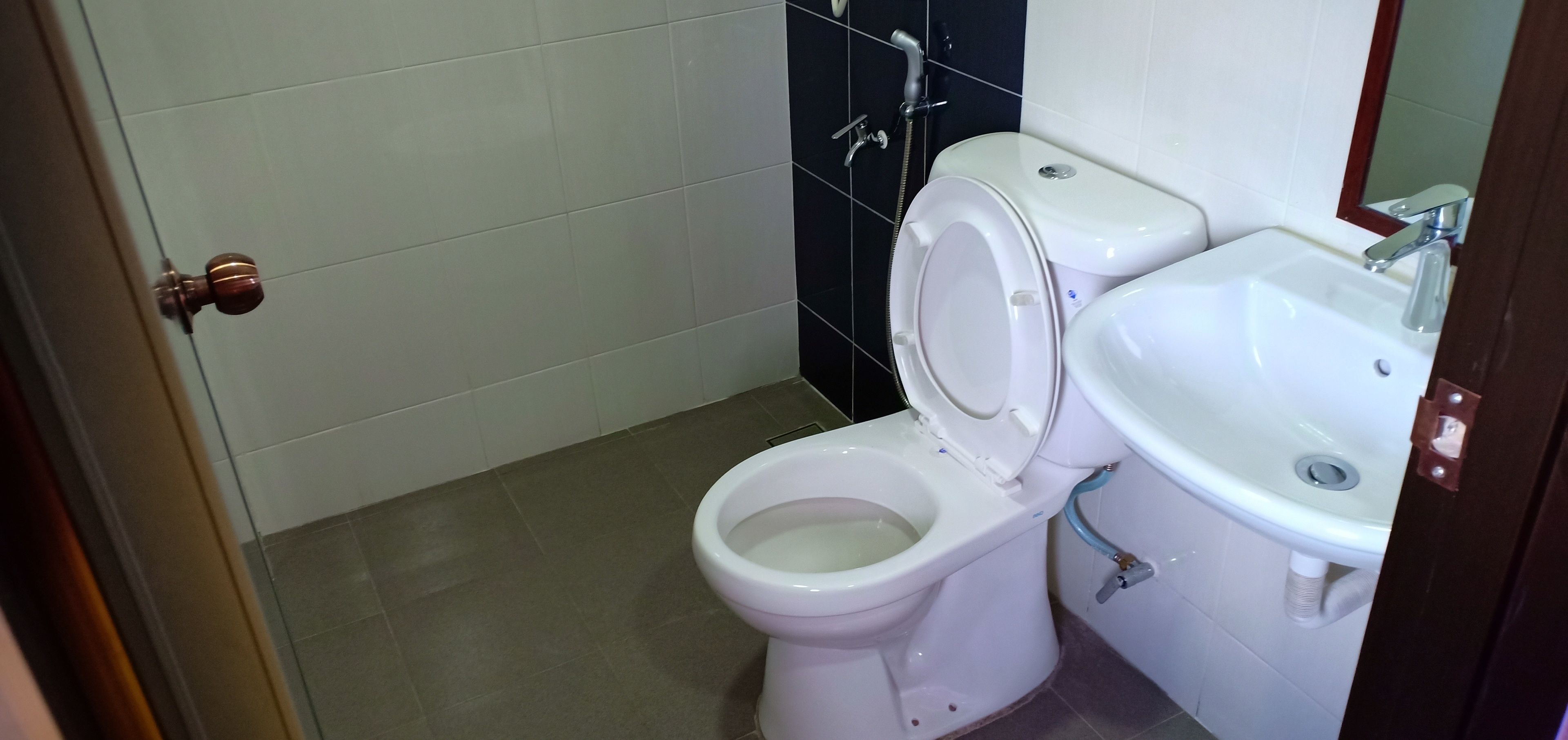 A bathroom with a toilet, sink, and a shower.