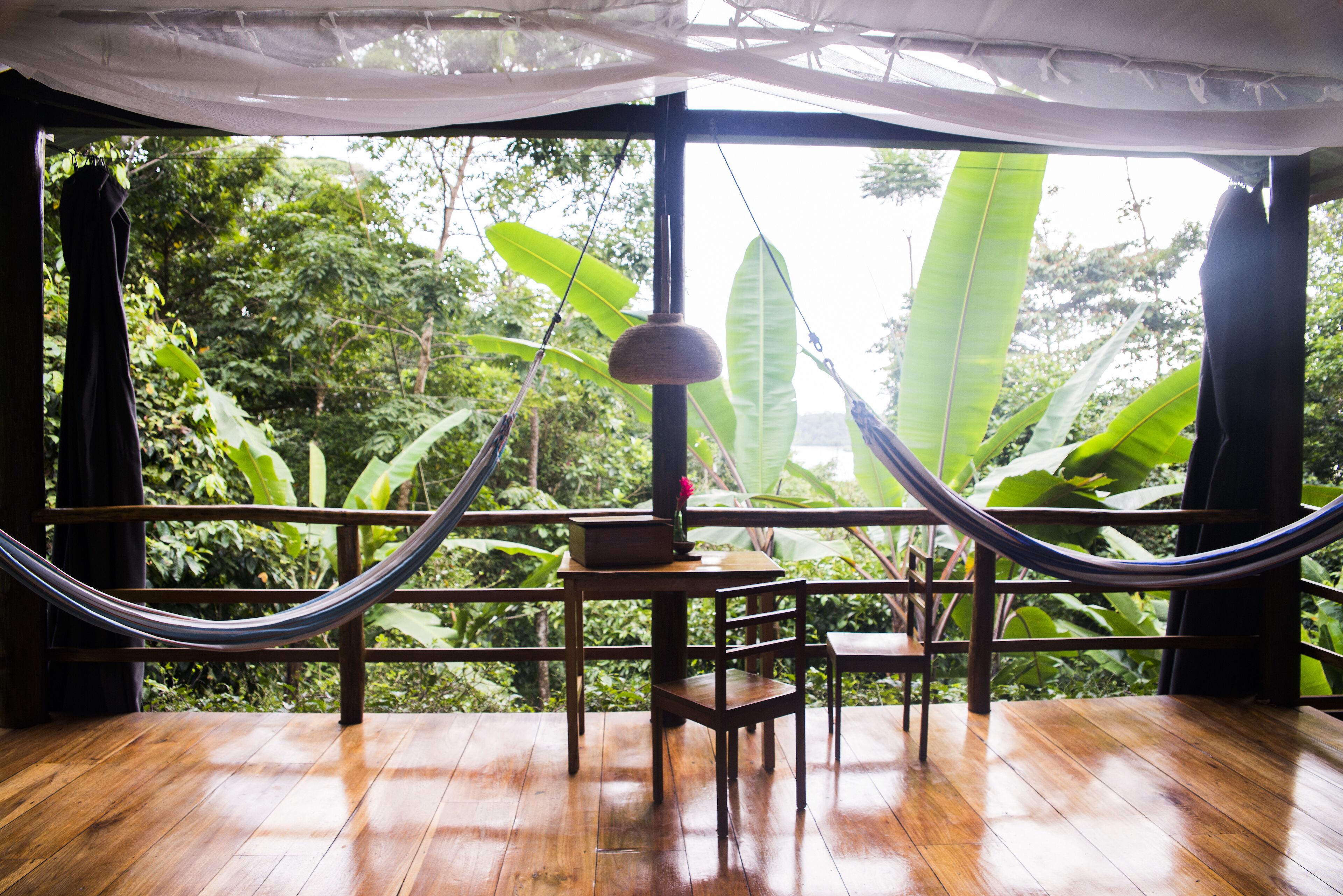 A hammock chair on a wooden deck with a view of lush greenery.